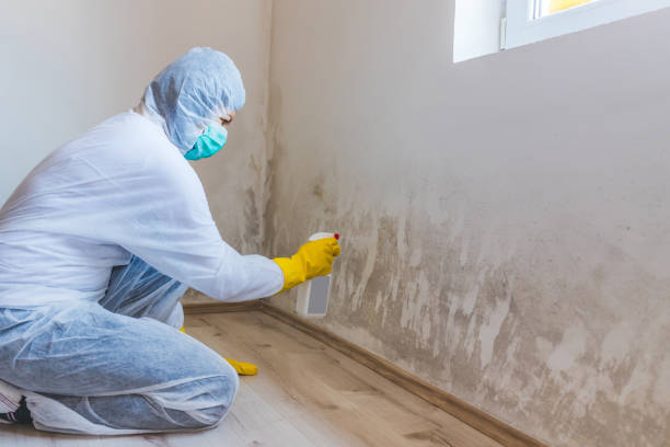 Licensed Mold Remediation service in Fort Worth, TX - WQB Mold Removal