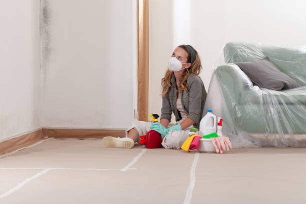Reliable Mold Remediation contractor in Fort Worth, TX by WQB Mold Removal